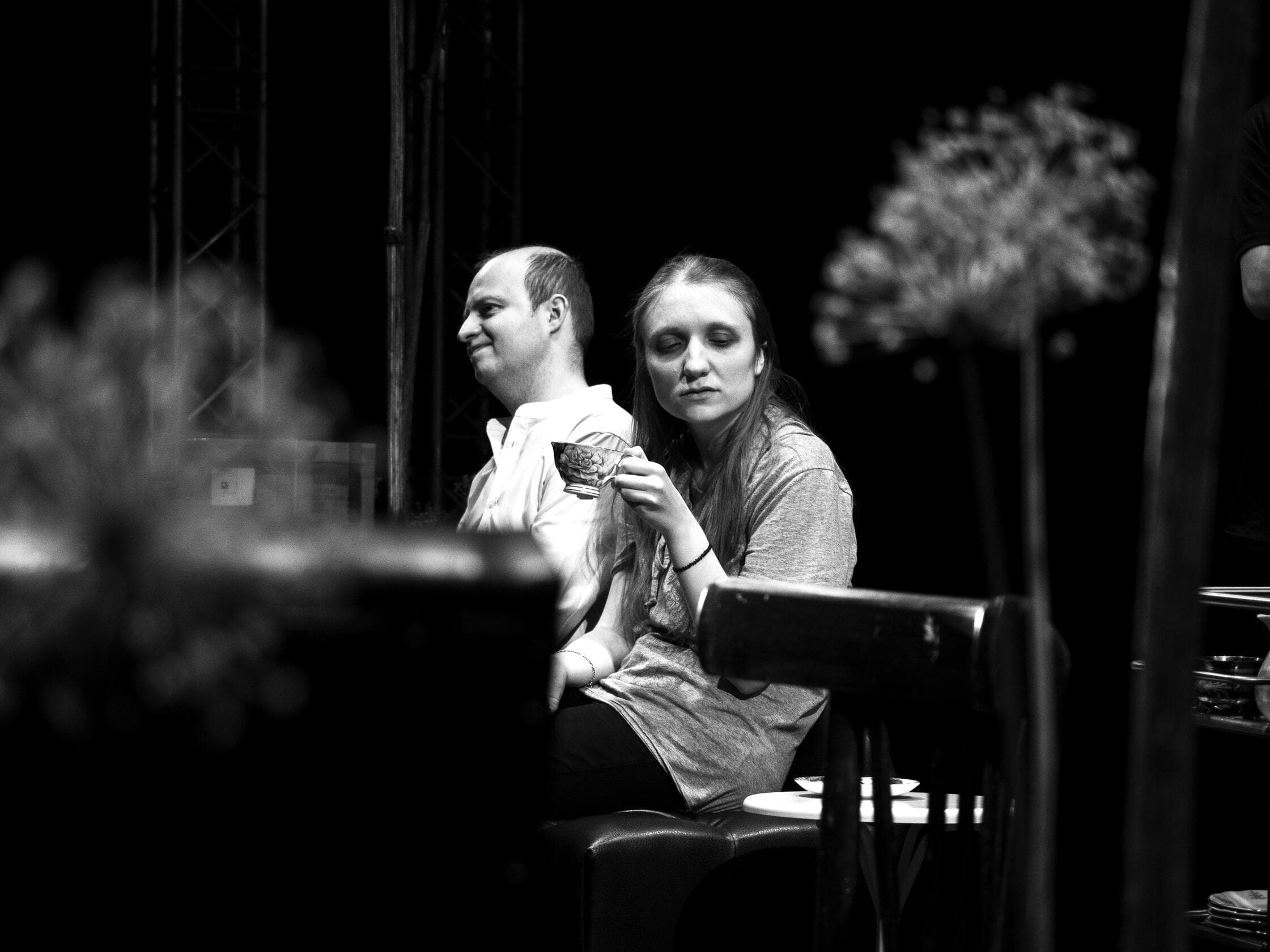 Чайки в вишнёвом саду — фото 2